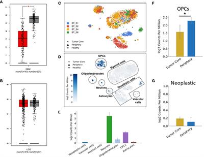 Decreased DUSP26 Expression Promotes Malignant Behavior in Glioblastoma Cells via Deregulation of MAPK and Akt Signaling Pathway